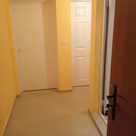 Vip Svetlana Appartement *