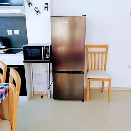 Appartement Vip Svetlana *