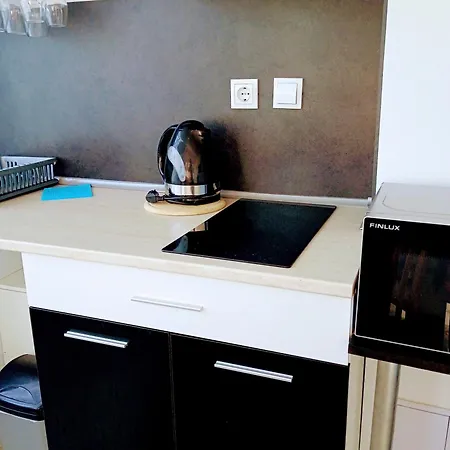 Vip Svetlana Appartement *