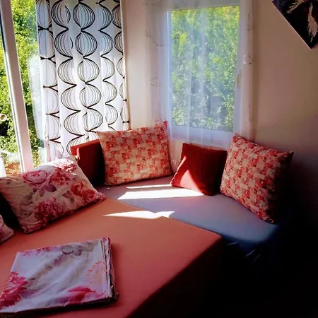 Apartment Vip Svetlana *