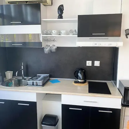 Apartment Vip Svetlana *